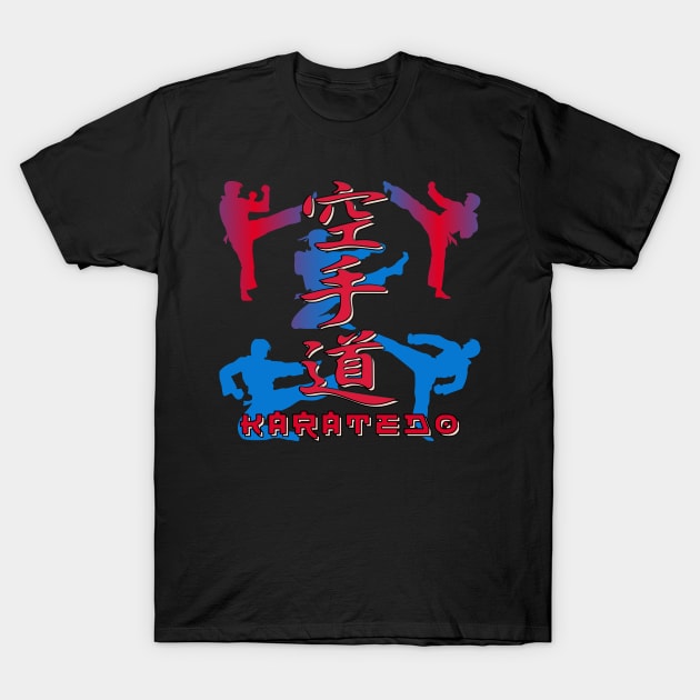 Martial Arts Japanese Karate Fighter 680 T-Shirt by dvongart